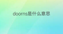 doorns是什么意思 doorns的中文翻译、读音、例句