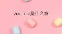 variceal是什么意思 variceal的中文翻译、读音、例句