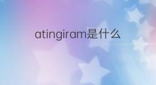 atingiram是什么意思 atingiram的中文翻译、读音、例句