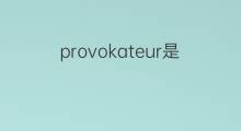 provokateur是什么意思 provokateur的中文翻译、读音、例句