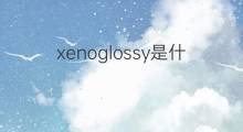 xenoglossy是什么意思 xenoglossy的中文翻译、读音、例句