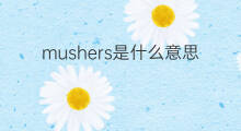 mushers是什么意思 mushers的中文翻译、读音、例句