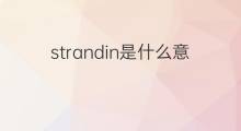 strandin是什么意思 strandin的中文翻译、读音、例句
