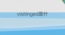 visitinged是什么意思 visitinged的中文翻译、读音、例句