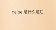 geigel是什么意思 geigel的中文翻译、读音、例句