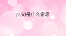 pvid是什么意思 pvid的中文翻译、读音、例句