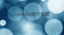 minisite是什么意思 minisite的中文翻译、读音、例句