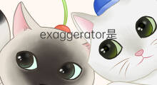 exaggerator是什么意思 exaggerator的中文翻译、读音、例句