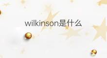 wilkinson是什么意思 wilkinson的中文翻译、读音、例句