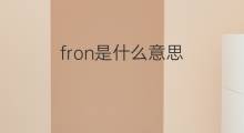 fron是什么意思 fron的中文翻译、读音、例句