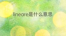 lineare是什么意思 lineare的中文翻译、读音、例句