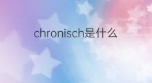 chronisch是什么意思 chronisch的中文翻译、读音、例句