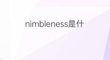 nimbleness是什么意思 nimbleness的中文翻译、读音、例句