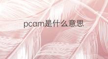 pcam是什么意思 pcam的中文翻译、读音、例句