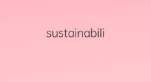 sustainability是什么意思 sustainability的中文翻译、读音、例句
