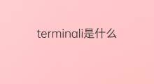 terminali是什么意思 terminali的中文翻译、读音、例句