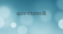 quantitates是什么意思 quantitates的中文翻译、读音、例句