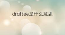 draftee是什么意思 draftee的中文翻译、读音、例句
