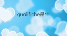 qualifiche是什么意思 qualifiche的中文翻译、读音、例句