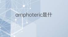 amphoteric是什么意思 amphoteric的中文翻译、读音、例句