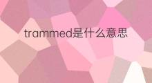 trammed是什么意思 trammed的中文翻译、读音、例句