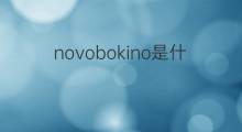 novobokino是什么意思 novobokino的翻译、读音、例句、中文解释