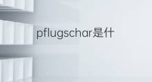 pflugschar是什么意思 pflugschar的中文翻译、读音、例句