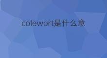colewort是什么意思 colewort的中文翻译、读音、例句