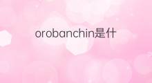 orobanchin是什么意思 orobanchin的中文翻译、读音、例句
