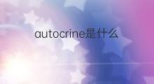autocrine是什么意思 autocrine的中文翻译、读音、例句