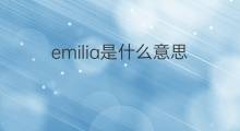 emilia是什么意思 emilia的中文翻译、读音、例句