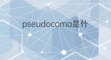 pseudocoma是什么意思 pseudocoma的中文翻译、读音、例句