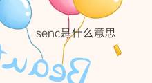 senc是什么意思 senc的中文翻译、读音、例句