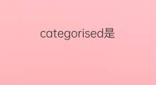 categorised是什么意思 categorised的中文翻译、读音、例句