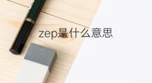 zep是什么意思 zep的中文翻译、读音、例句