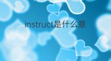 instruct是什么意思 instruct的中文翻译、读音、例句