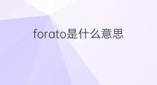 forato是什么意思 forato的中文翻译、读音、例句