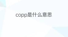 copp是什么意思 copp的翻译、读音、例句、中文解释