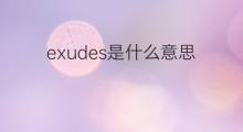 exudes是什么意思 exudes的翻译、读音、例句、中文解释