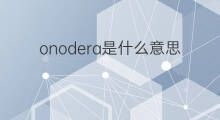 onodera是什么意思 onodera的中文翻译、读音、例句