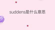 suddens是什么意思 suddens的中文翻译、读音、例句