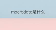 macrodata是什么意思 macrodata的中文翻译、读音、例句