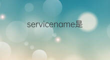 servicename是什么意思 servicename的中文翻译、读音、例句