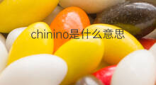 chinino是什么意思 chinino的中文翻译、读音、例句