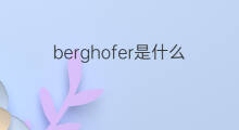 berghofer是什么意思 berghofer的中文翻译、读音、例句