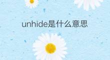 unhide是什么意思 unhide的中文翻译、读音、例句