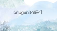 anogenital是什么意思 anogenital的中文翻译、读音、例句