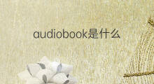 audiobook是什么意思 audiobook的中文翻译、读音、例句