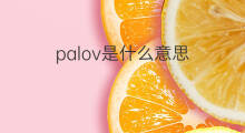 palov是什么意思 palov的中文翻译、读音、例句