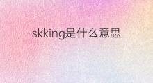 skking是什么意思 skking的中文翻译、读音、例句